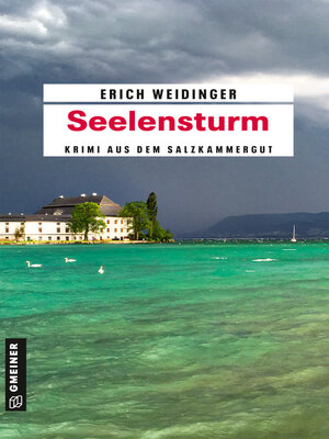cover image of Seelensturm